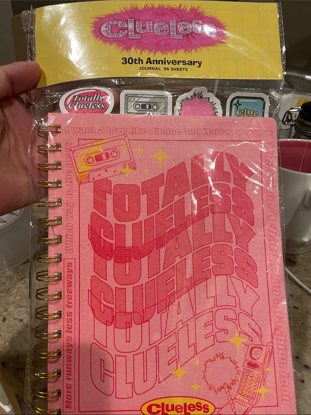 3 for $10 - 30th Anniversary Clueless journal
